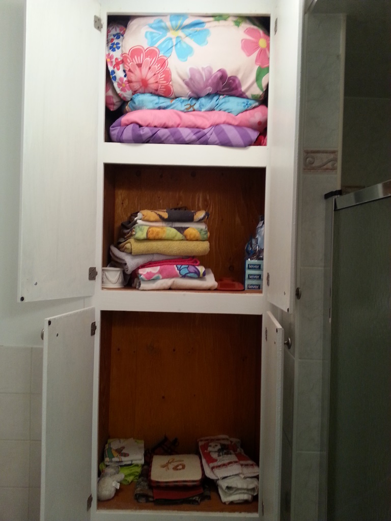 Bathroom closet before