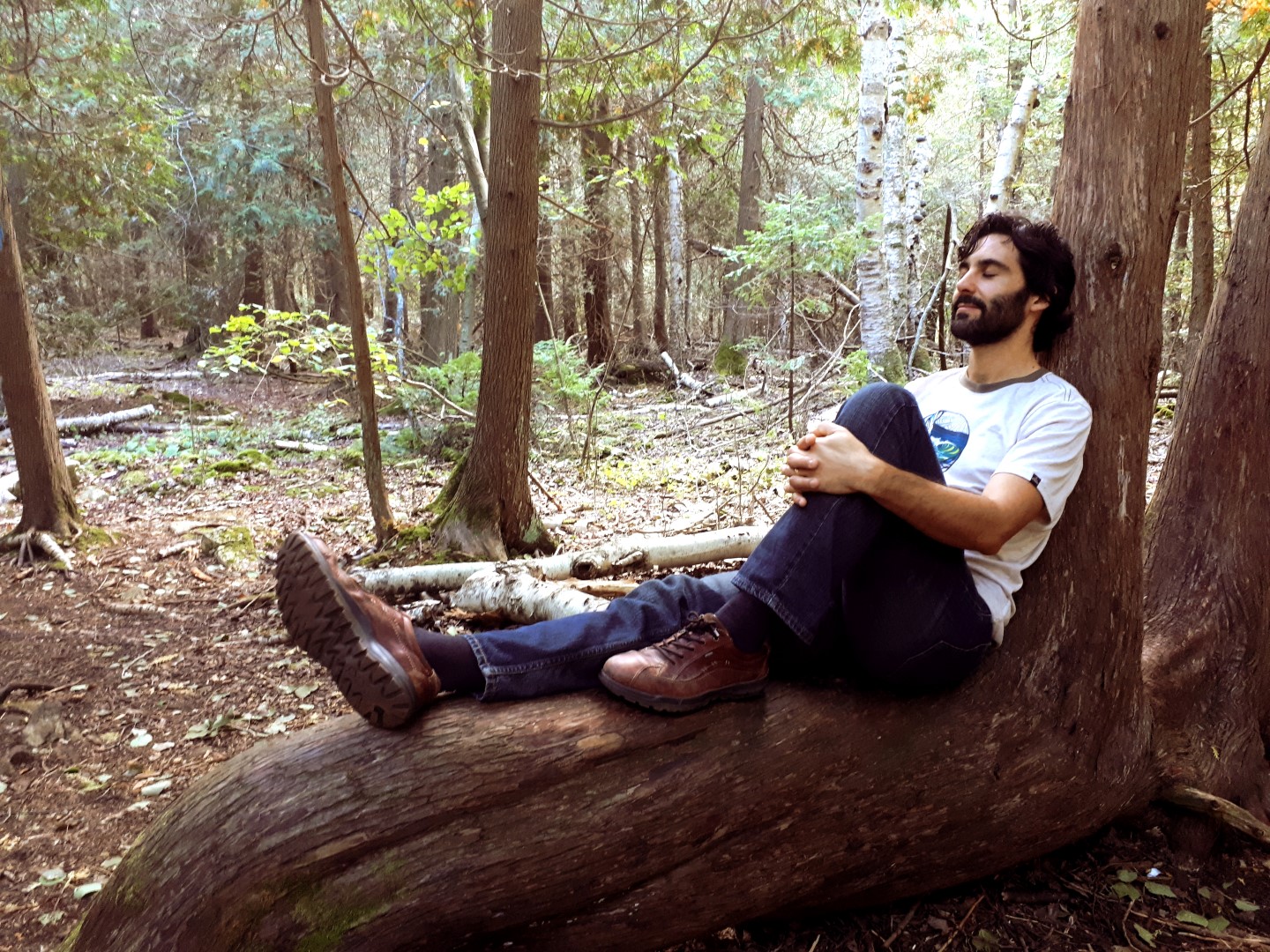 Man sitting n cedar tree contemplating