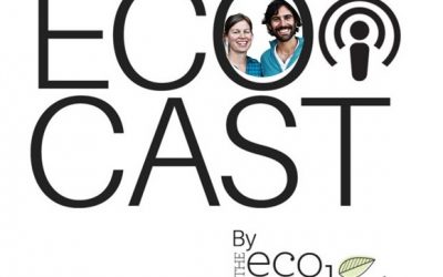 The Link between Organization and Green Living – Interview by The Eco Market