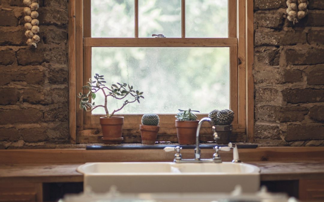window kitchen sink plants