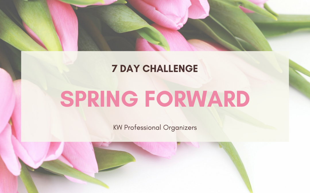 spring forward_ 7 day Challenge